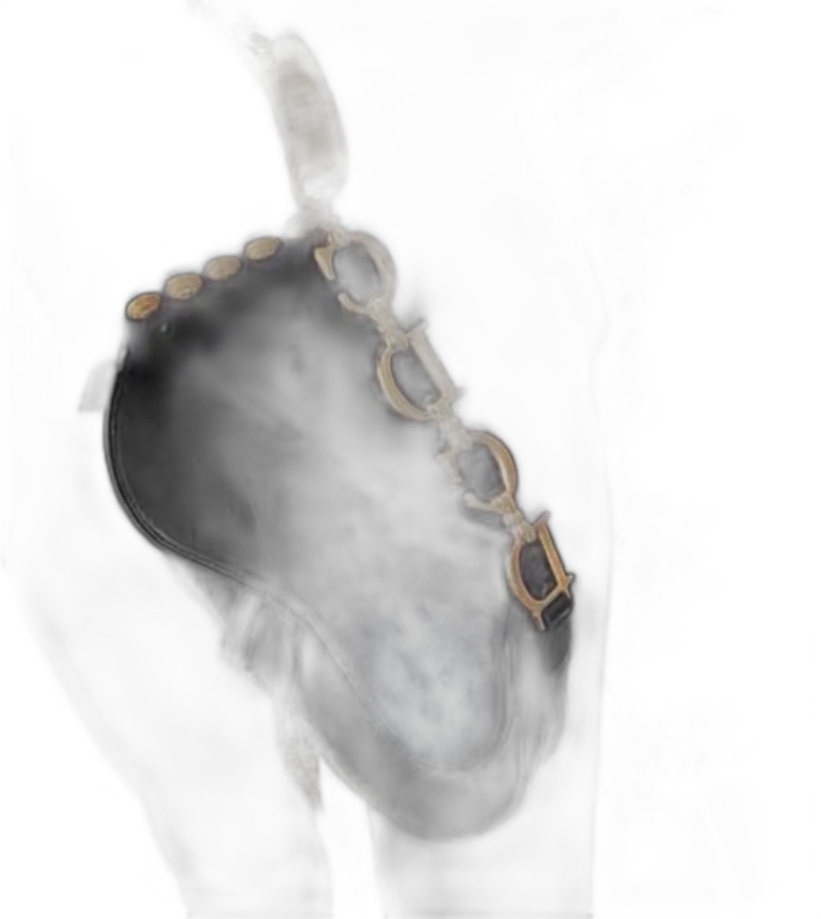 Dior Ostrich Leather CD Chain Saddle